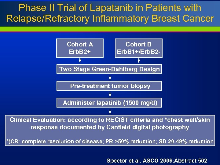 Phase II Trial of Lapatanib in Patients with Relapse/Refractory Inflammatory Breast Cancer Cohort A