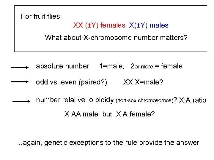 For fruit flies: XX (±Y) females X(±Y) males What about X-chromosome number matters? absolute