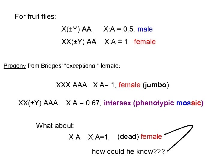 For fruit flies: X(±Y) AA X: A = 0. 5, male XX(±Y) AA X: