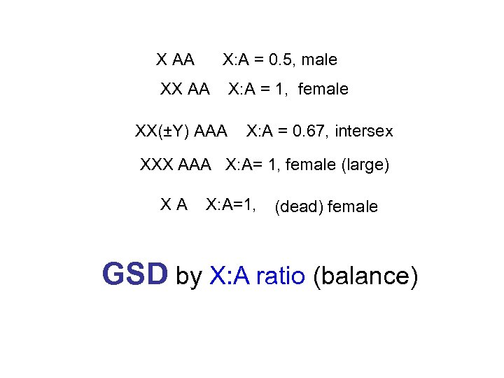 X AA X: A = 0. 5, male XX AA XX(±Y) AAA X: A