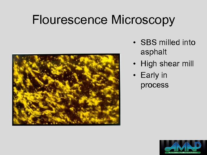 Flourescence Microscopy • SBS milled into asphalt • High shear mill • Early in