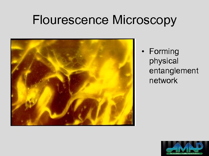 Flourescence Microscopy • Forming physical entanglement network 