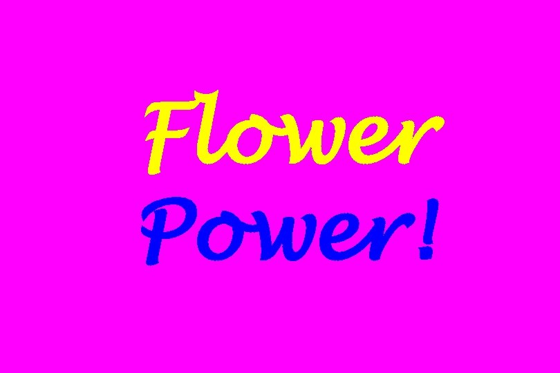 Flower Power! 