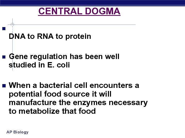CENTRAL DOGMA Genetic information always goes from DNA to RNA to protein Gene regulation