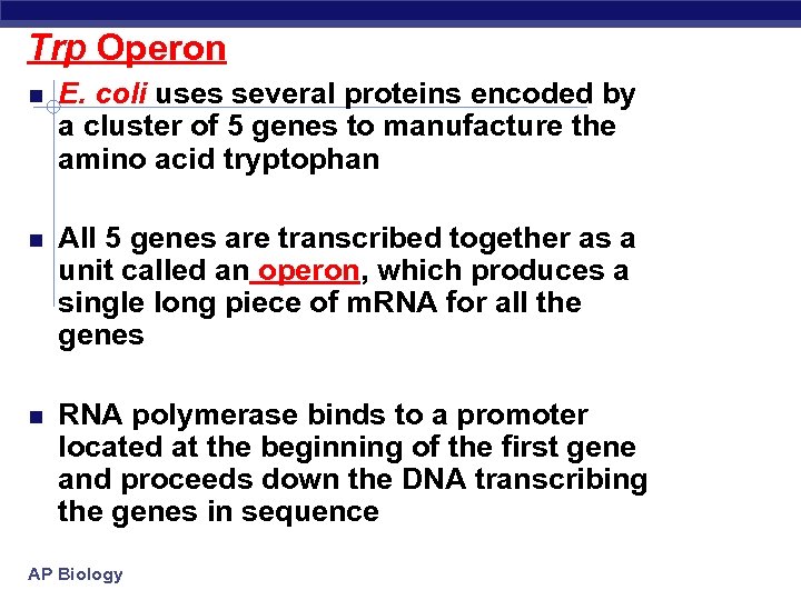 Trp Operon E. coli uses several proteins encoded by a cluster of 5 genes