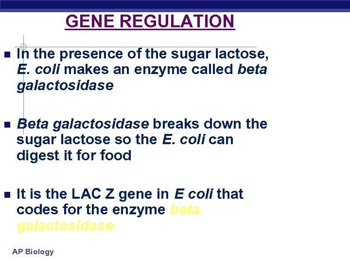 GENE REGULATION In the presence of the sugar lactose, E. coli makes an enzyme