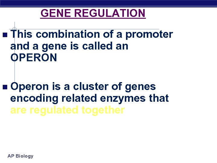 GENE REGULATION This combination of a promoter and a gene is called an OPERON