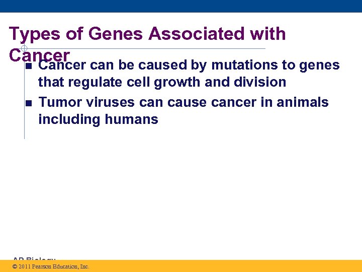 Types of Genes Associated with Cancer can be caused by mutations to genes that