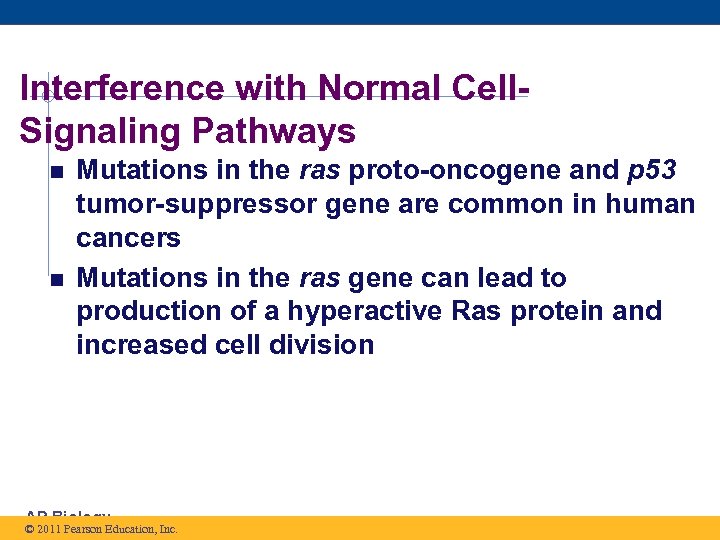 Interference with Normal Cell. Signaling Pathways Mutations in the ras proto-oncogene and p 53