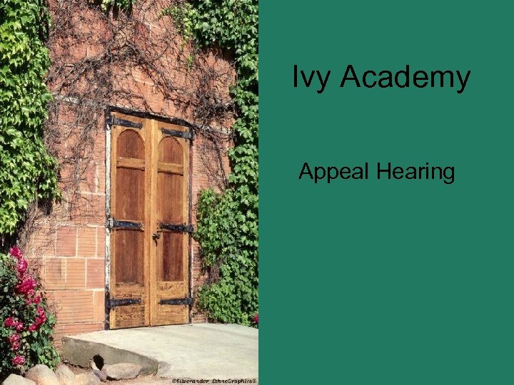 Ivy Academy Appeal Hearing 