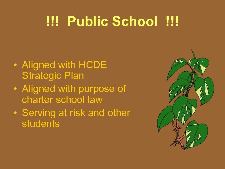 !!! Public School !!! • Aligned with HCDE Strategic Plan • Aligned with purpose