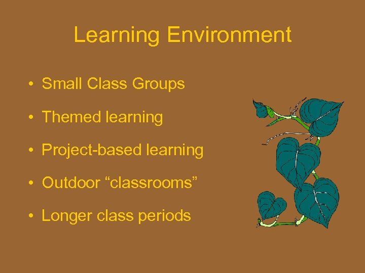 Learning Environment • Small Class Groups • Themed learning • Project-based learning • Outdoor