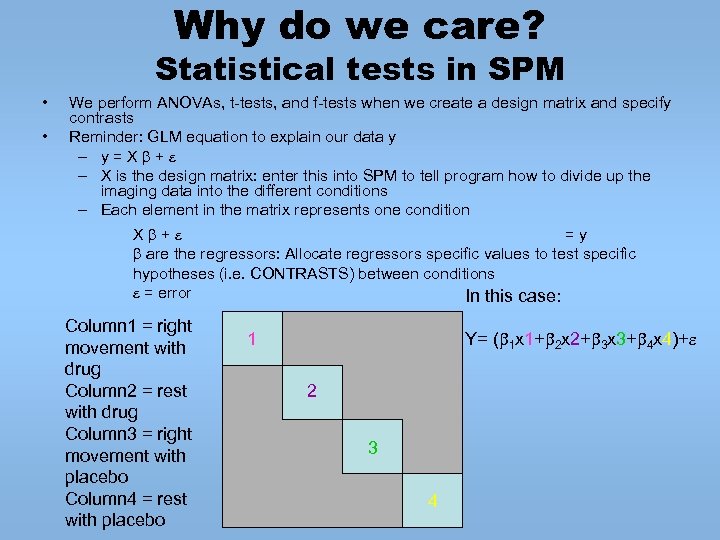 Why do we care? Statistical tests in SPM • • We perform ANOVAs, t-tests,
