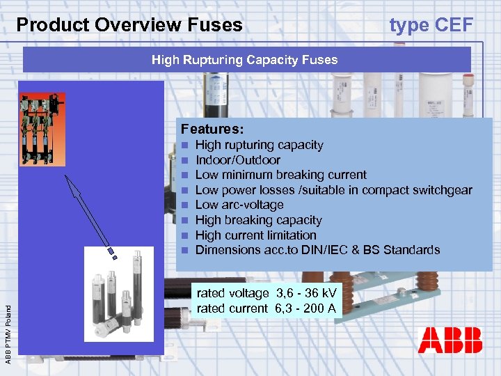 Product Overview Fuses type CEF High Rupturing Capacity Fuses Features: ABB PTMV Poland n
