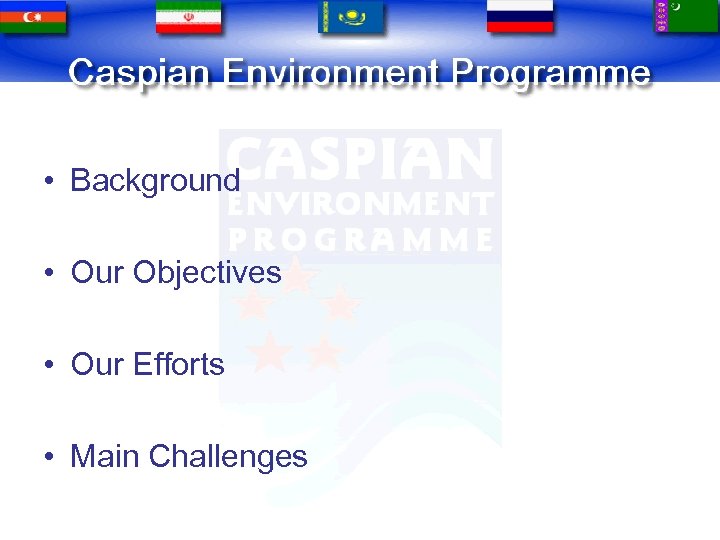  • Background • Our Objectives • Our Efforts • Main Challenges 