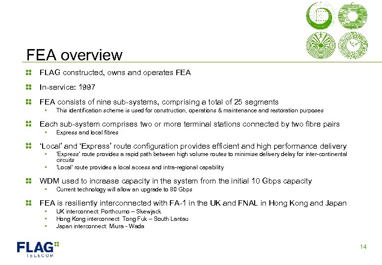 FEA overview FLAG constructed, owns and operates FEA In-service: 1997 FEA consists of nine