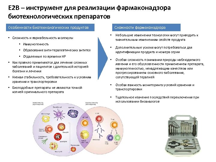 Е 2 В – инструмент для реализации фармаконадзора биотехнологических препаратов Сложности фармаконадзора Особенности биотехнологических