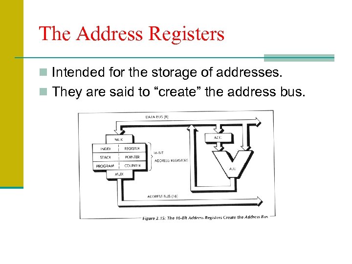 The Address Registers n Intended for the storage of addresses. n They are said