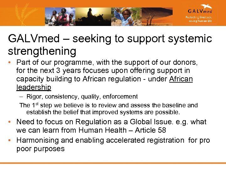 GALVmed – seeking to support systemic strengthening • Part of our programme, with the