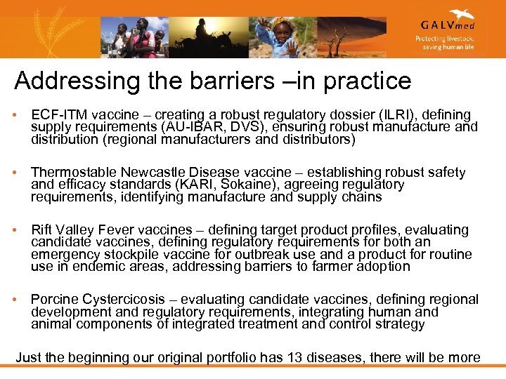 Addressing the barriers –in practice • ECF-ITM vaccine – creating a robust regulatory dossier