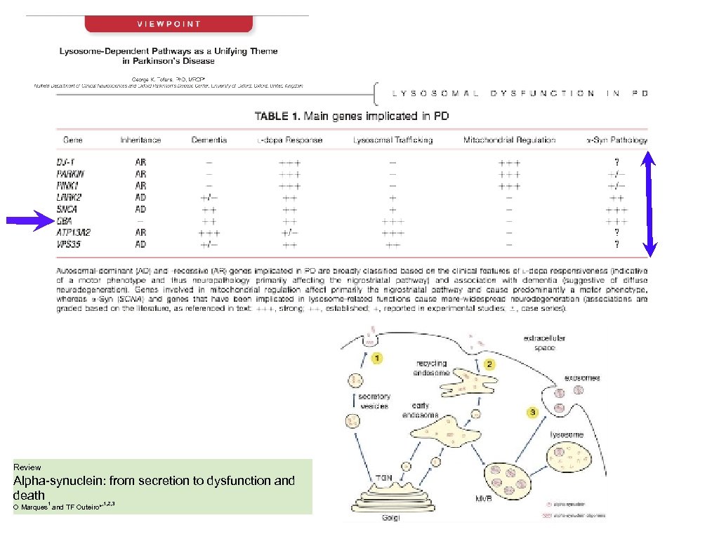 Review Alpha-synuclein: from secretion to dysfunction and death 1 , 1, 2, 3 O