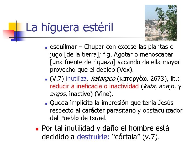 La higuera estéril n n esquilmar – Chupar con exceso las plantas el jugo