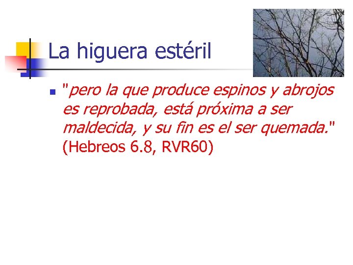 La higuera estéril n "pero la que produce espinos y abrojos es reprobada, está