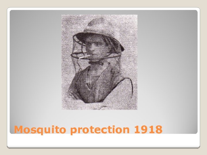 Mosquito protection 1918 