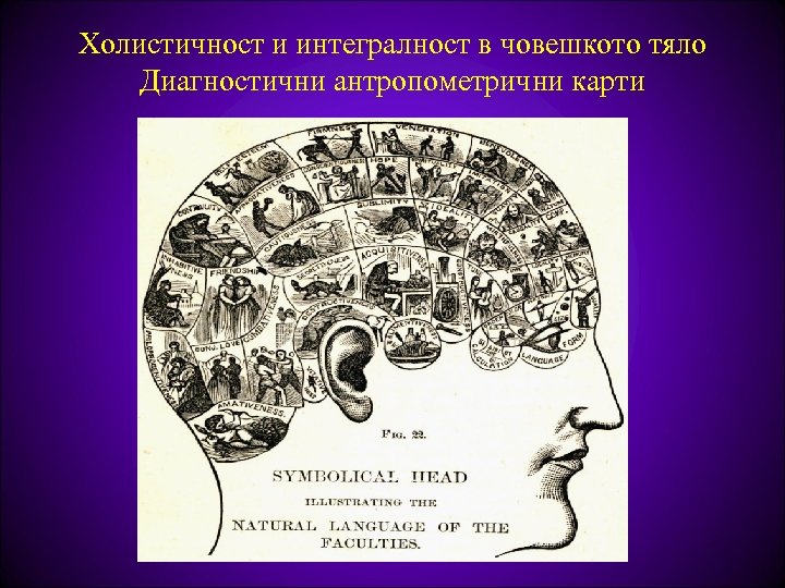 Холистичност и интегралност в човешкото тяло Диагностични антропометрични карти 