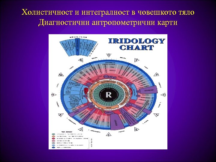 Холистичност и интегралност в човешкото тяло Диагностични антропометрични карти 