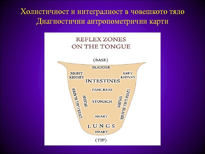 Холистичност и интегралност в човешкото тяло Диагностични антропометрични карти 