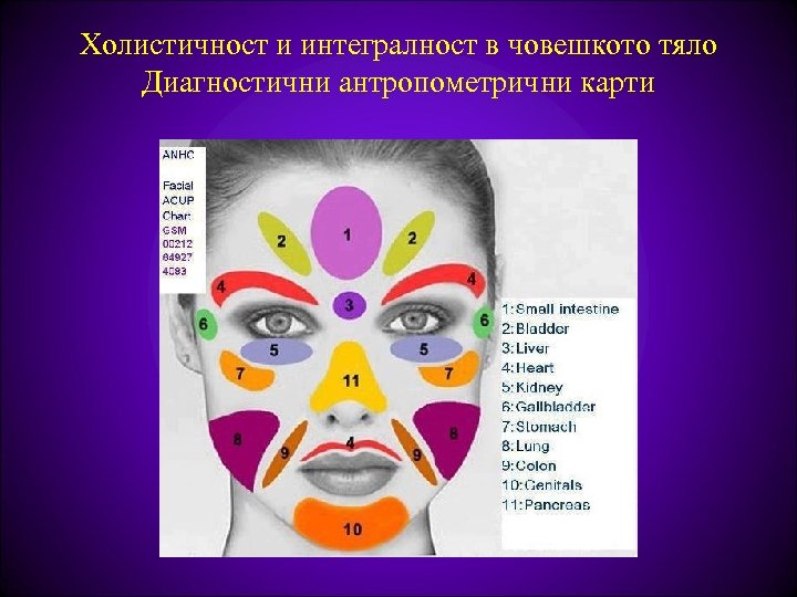 Холистичност и интегралност в човешкото тяло Диагностични антропометрични карти 