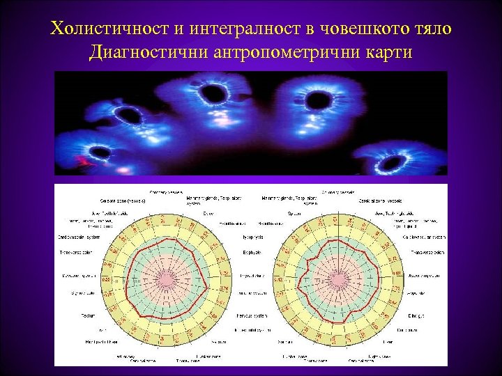 Холистичност и интегралност в човешкото тяло Диагностични антропометрични карти 