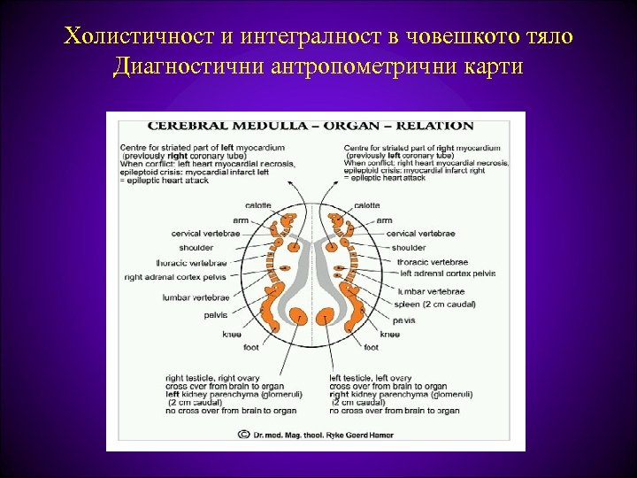 Холистичност и интегралност в човешкото тяло Диагностични антропометрични карти 
