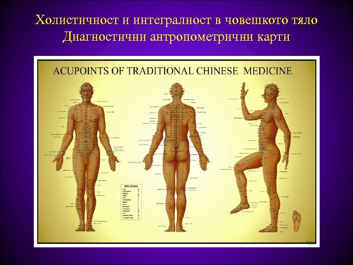Холистичност и интегралност в човешкото тяло Диагностични антропометрични карти 
