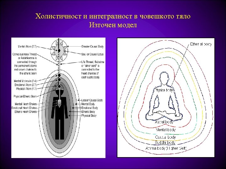 Холистичност и интегралност в човешкото тяло Източен модел 