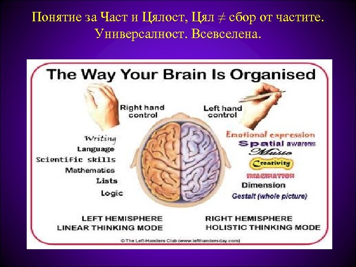 Понятие за Част и Цялост, Цял ≠ сбор от частите. Универсалност. Всевселена. 