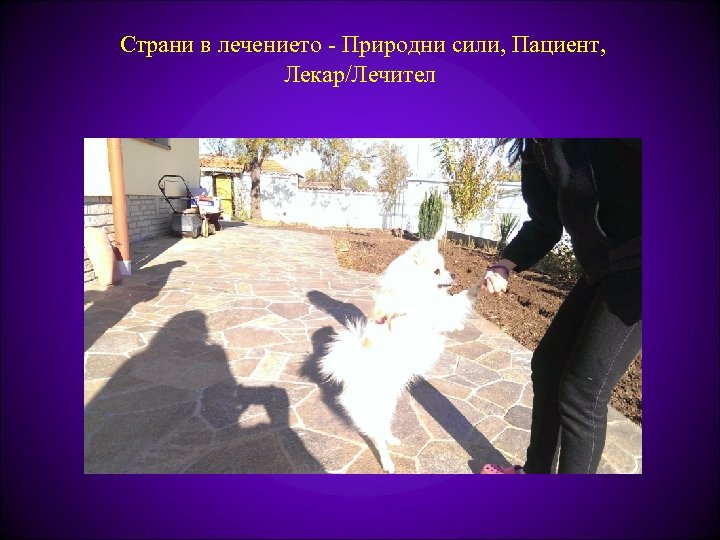 Страни в лечението - Природни сили, Пациент, Лекар/Лечител 