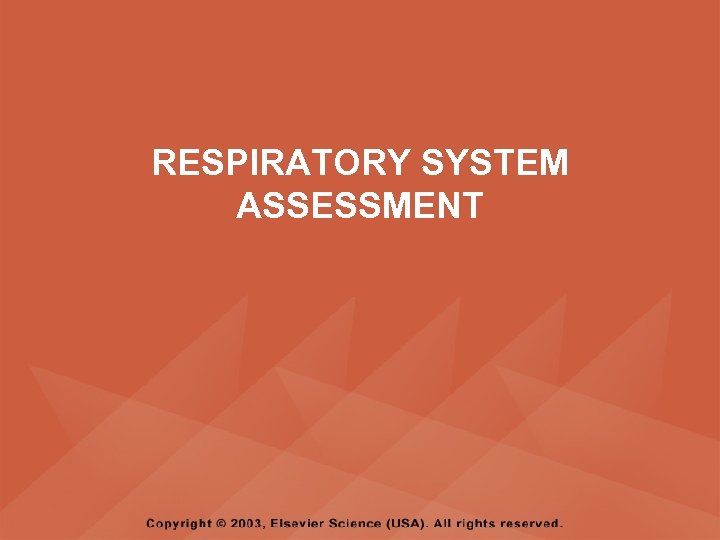 RESPIRATORY SYSTEM ASSESSMENT PYRAMID POINTS Respiratory
