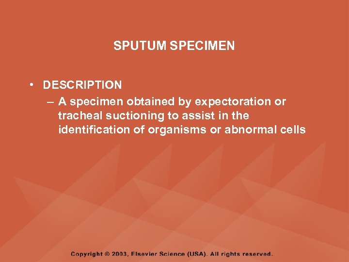 SPUTUM SPECIMEN • DESCRIPTION – A specimen obtained by expectoration or tracheal suctioning to
