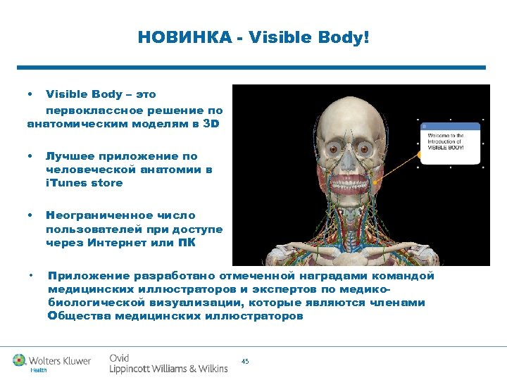 НОВИНКА - Visible Body! • Visible Body – это первоклассное решение по анатомическим моделям