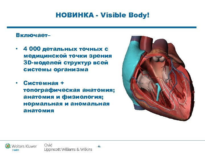 НОВИНКА - Visible Body! Включает– • 4 000 детальных точных с медицинской точки зрения