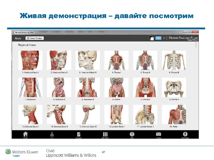 Живая демонстрация – давайте посмотрим 47 