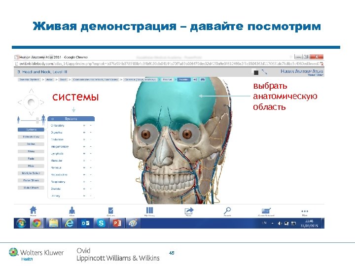 Живая демонстрация – давайте посмотрим выбрать анатомическую область системы 48 