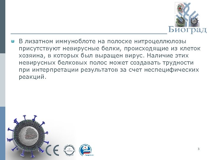 В лизатном иммуноблоте на полоске нитроцеллюлозы присутствуют невирусные белки, происходящие из клеток хозяина, в