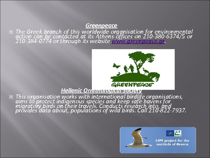  Greenpeace The Greek branch of this worldwide organisation for environmental action can be