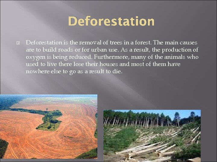 Deforestation is the removal of trees in a forest. The main causes are to