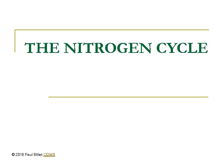 THE NITROGEN CYCLE © 2016 Paul Billiet ODWS 
