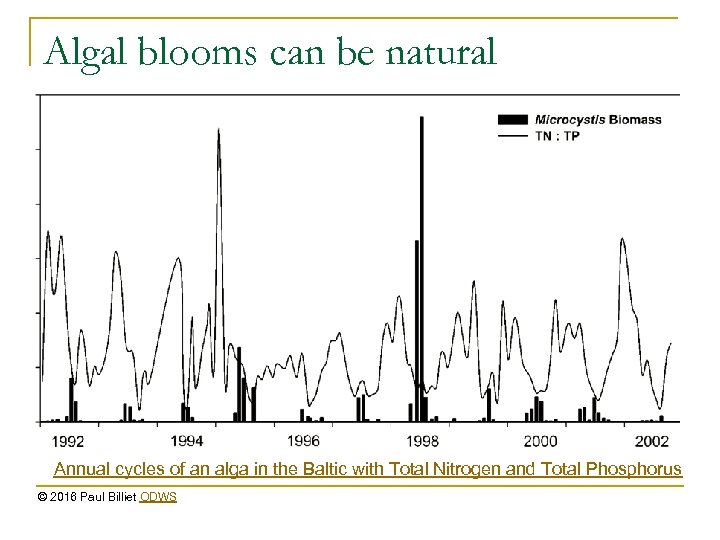 Algal blooms can be natural Annual cycles of an alga in the Baltic with