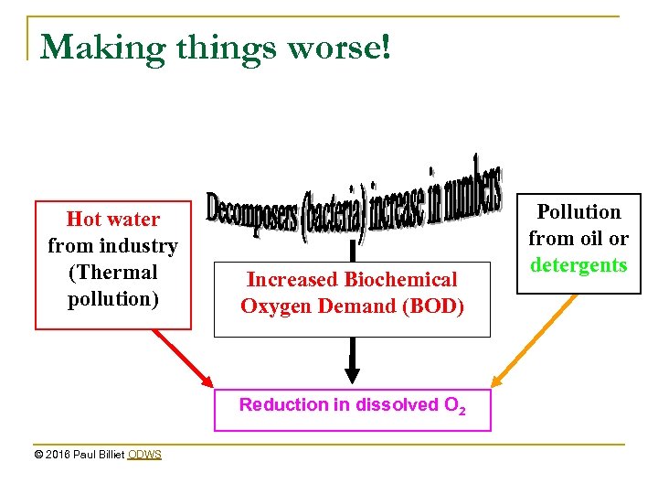 Making things worse! Hot water from industry (Thermal pollution) Increased Biochemical Oxygen Demand (BOD)